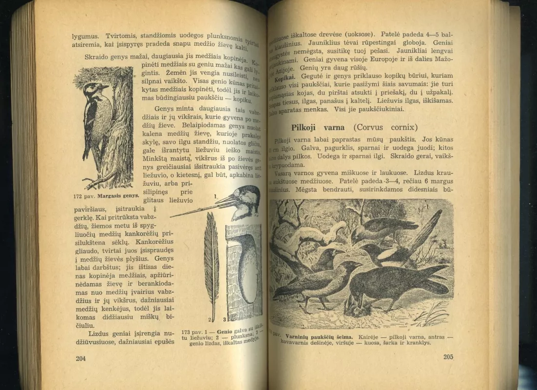 Zoologijos vadovėlis - V. Alaušas ir F. Čižienė, knyga 4