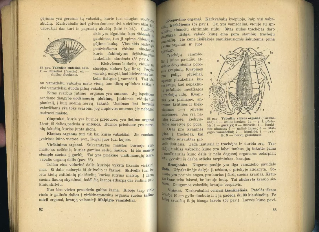 Zoologijos vadovėlis - V. Alaušas ir F. Čižienė, knyga 6