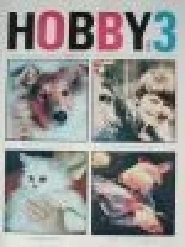 Hobby - Autorių Kolektyvas, knyga