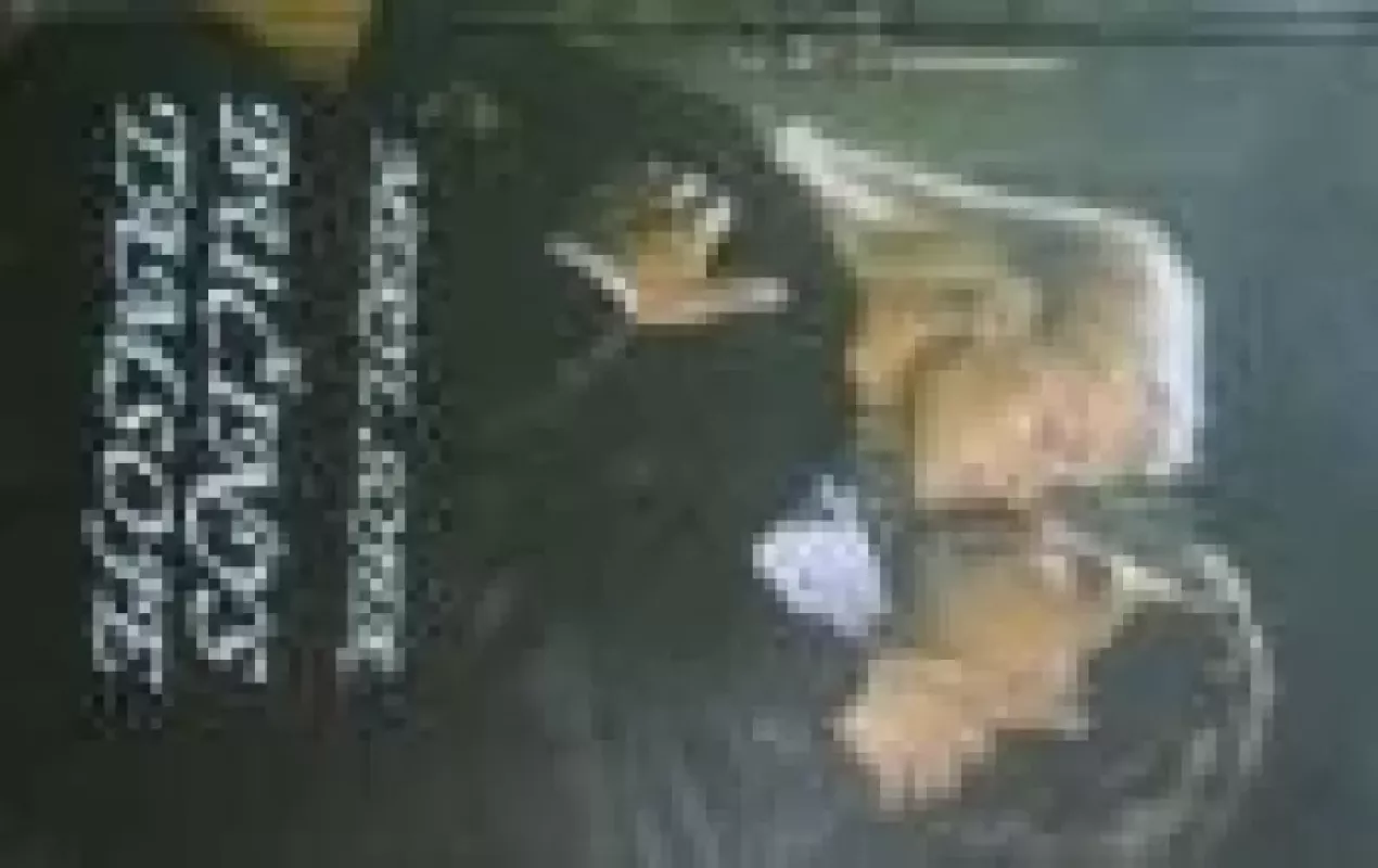 Bučinys tamsoje - Meryl Sojer, knyga 3