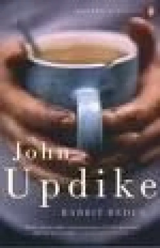 Rabbit Redux - John Updike, knyga
