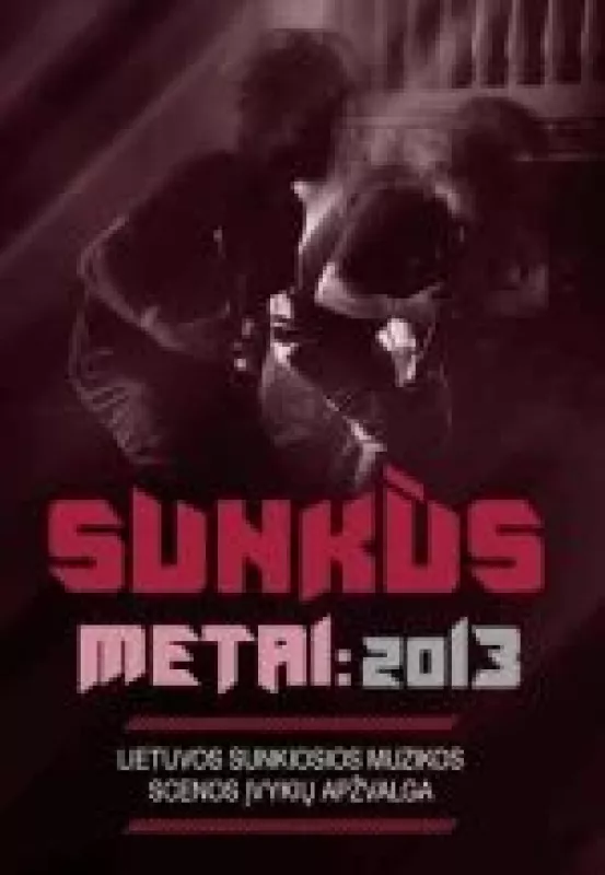 Sunkūs metai: 2013 - Autorių Kolektyvas, knyga 3