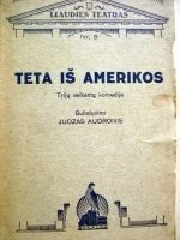 Teta iš Amerikos - Juozas Audronis, knyga