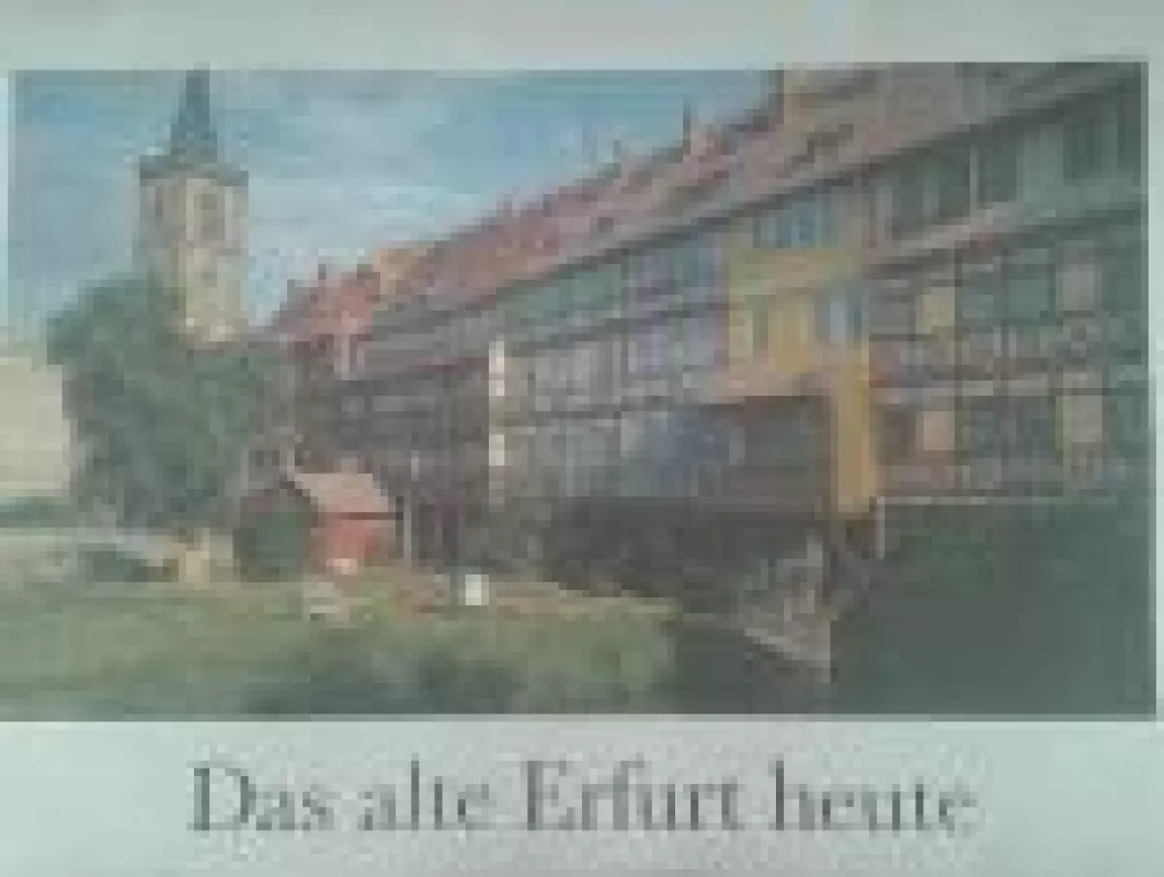 Das alte Erfurt heute - Autorių Kolektyvas, knyga