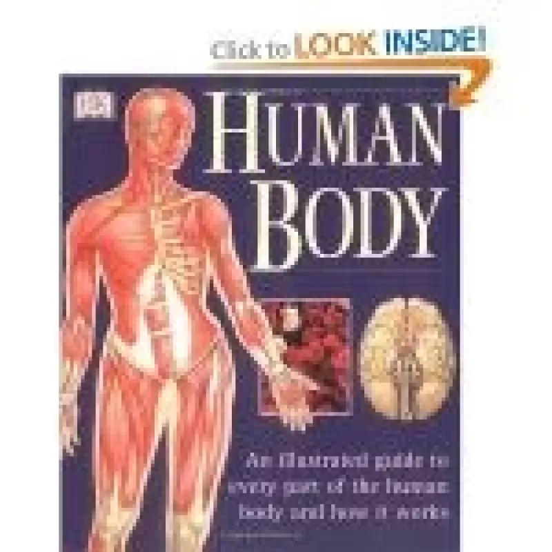 Human Body. An Illustrated Guide to Every Part of the Human Body and How it Works - Autorių Kolektyvas, knyga