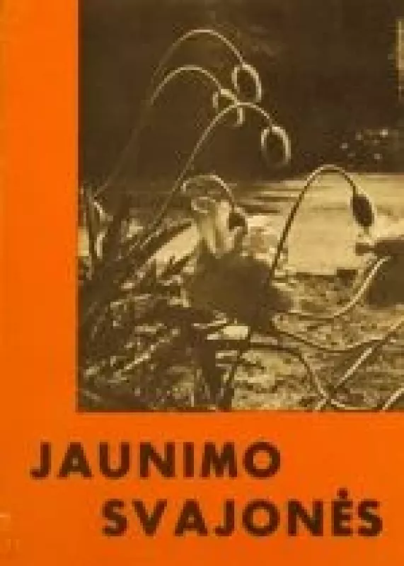 Jaunimo svajonės - Autorių Kolektyvas, knyga