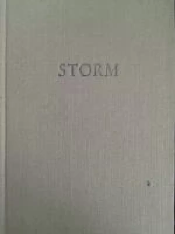 Storms werke (2 tomai) - Autorių Kolektyvas, knyga
