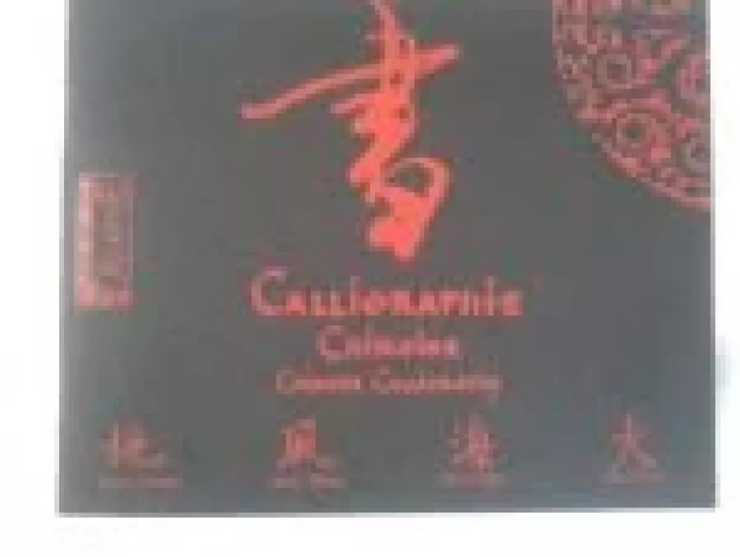 Calligraphie Chinoise - Autorių Kolektyvas, knyga