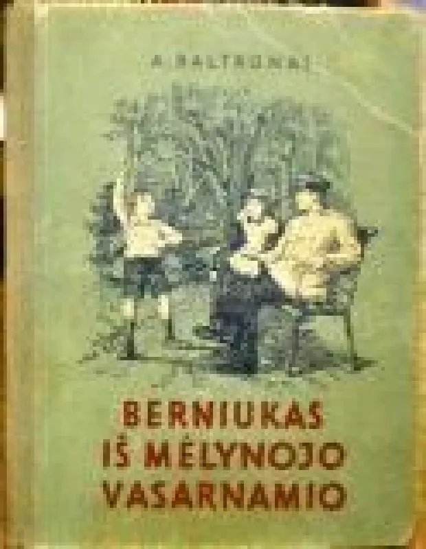 Berniukas iš mėlynojo vasarnamio - A. Baltrūnas, knyga