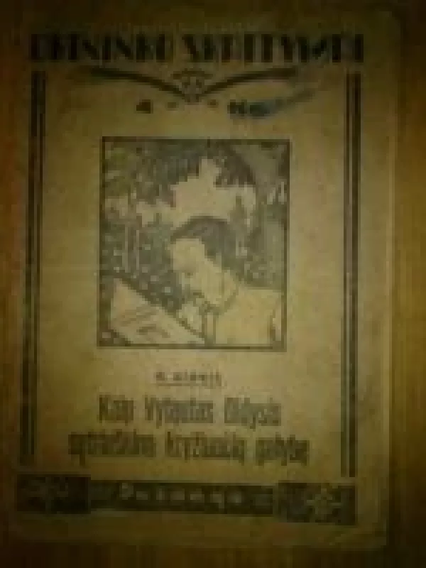 Kaip Vytautas Didysis sutriuškino kryžiuočių galybę - Kazys Binkis, knyga
