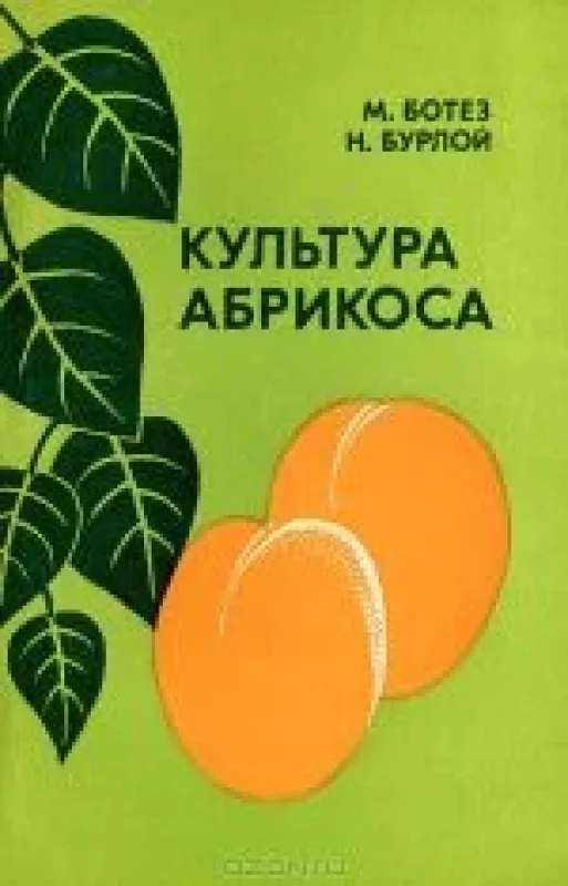 Культура абрикоса - М. Ботез, Н.  Бурлой, knyga