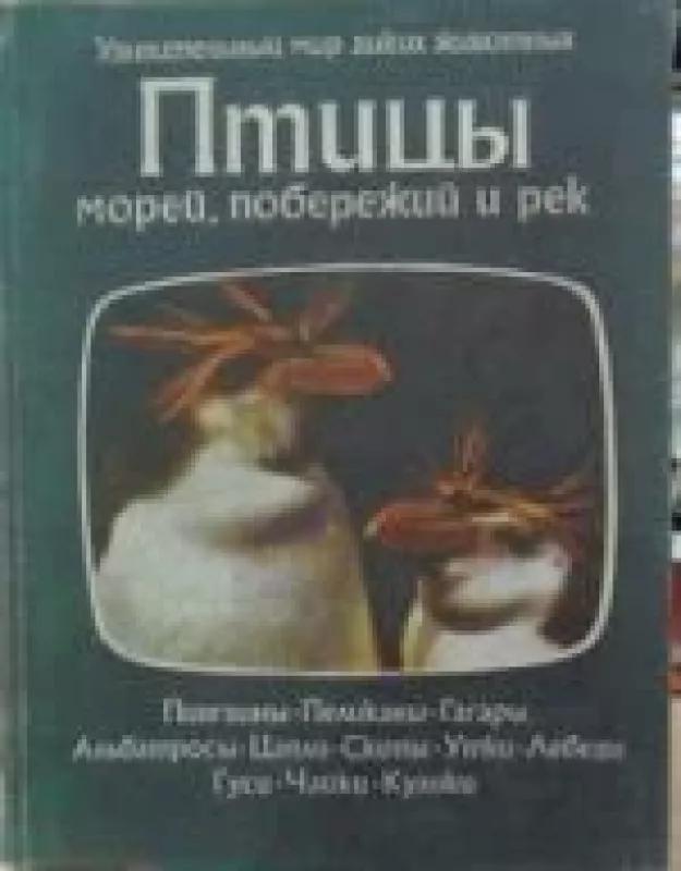 Птицы морей, побережий и рек - У. Брэдбери, knyga