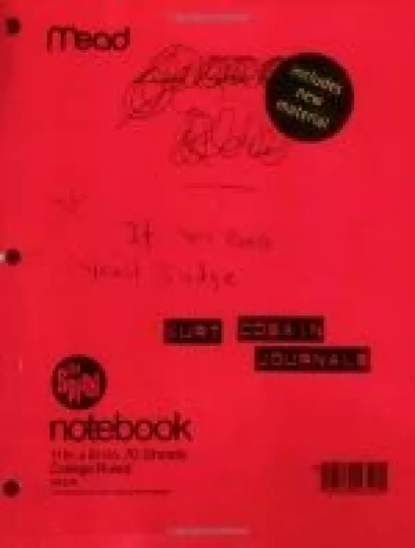 Journals - Kurt Cobain, knyga