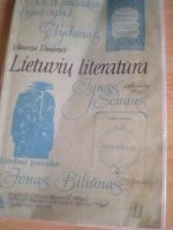 Lietuvių literatūra 11 kl. - Viktorija Daujotytė, knyga