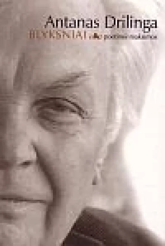 Blyksniai - Petras Dirgėla, knyga