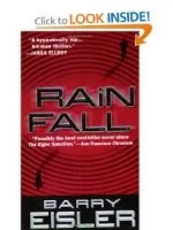 Rain Fall - Barry Eisler, knyga