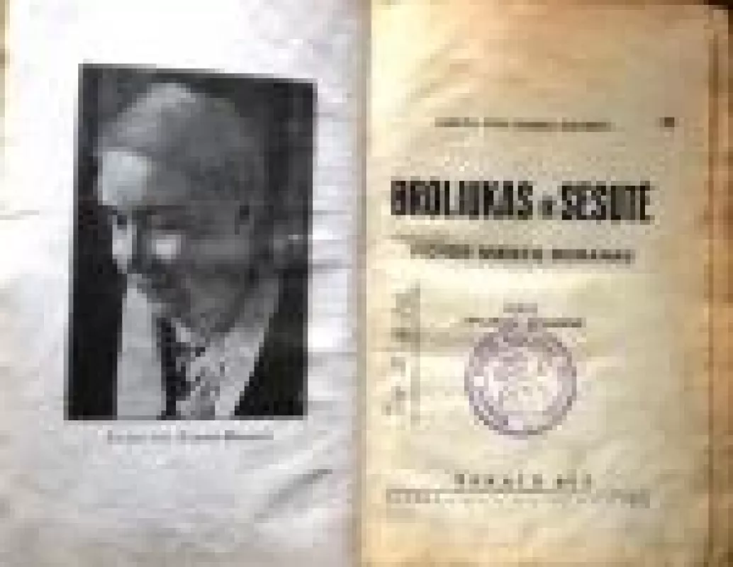 Broliukas ir sesutė: Vienos miesto romanas - E.Von Handel-Mazzetti, knyga