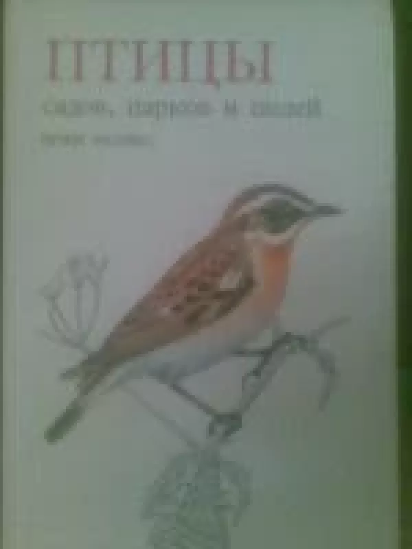 Pticy sadov, parkov i polej - Feliks Irži, knyga