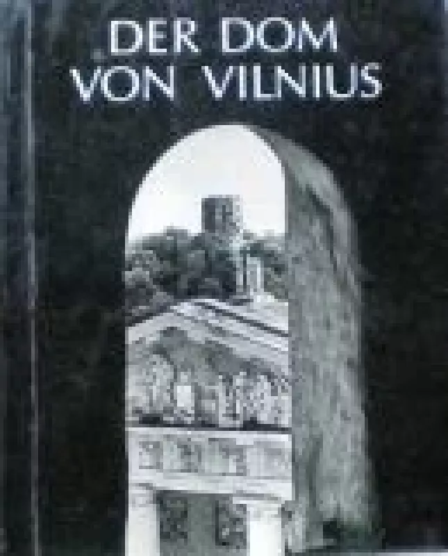 Der Dom von Vilnius - Napalys Kitkauskas, knyga