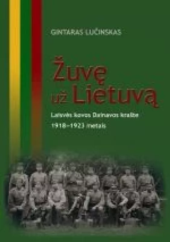 Žuvę už Lietuvą. Laisvės kovos Dainavos krašte 1918-1923 metais - Gintaras Lučinskas, knyga