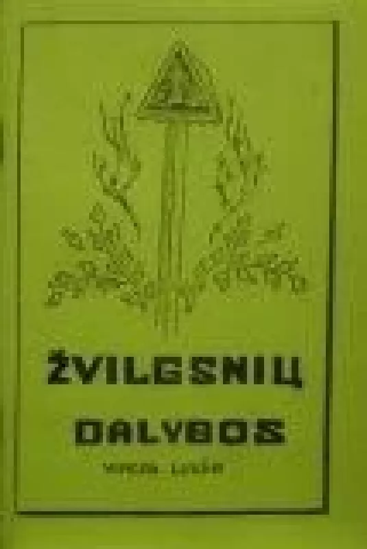 Žvilgsnių dalybos - Vincas Lukša, knyga