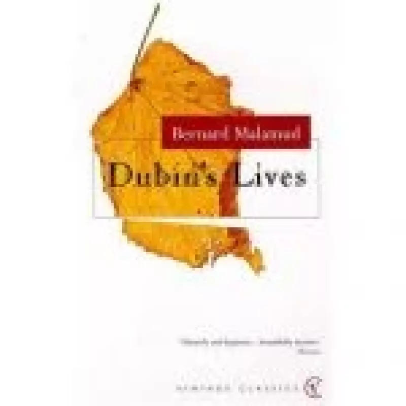 Dubin's Lives - bernard Malamud, knyga