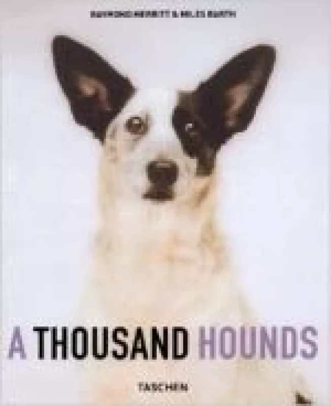 A thousand hounds - Autorių Kolektyvas, knyga
