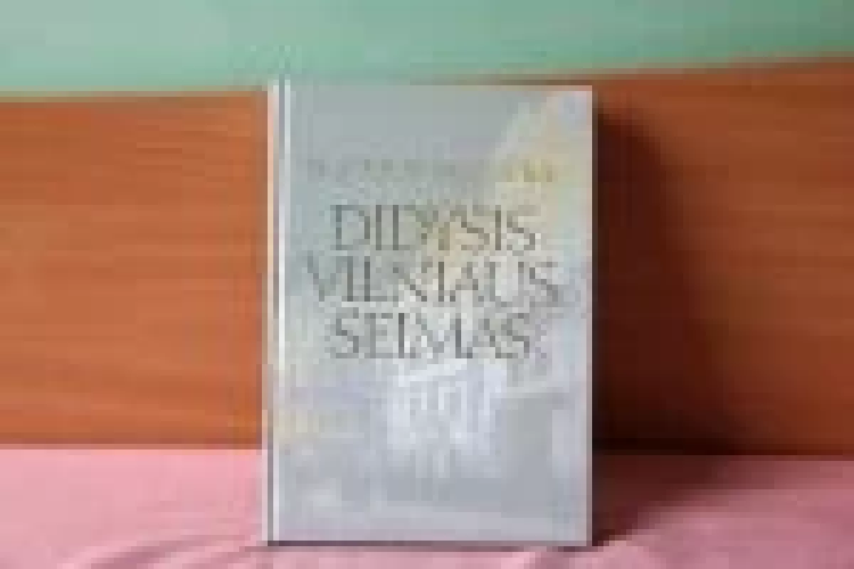 Didysis Vilniaus Seimas - Egidijus Motieka, knyga
