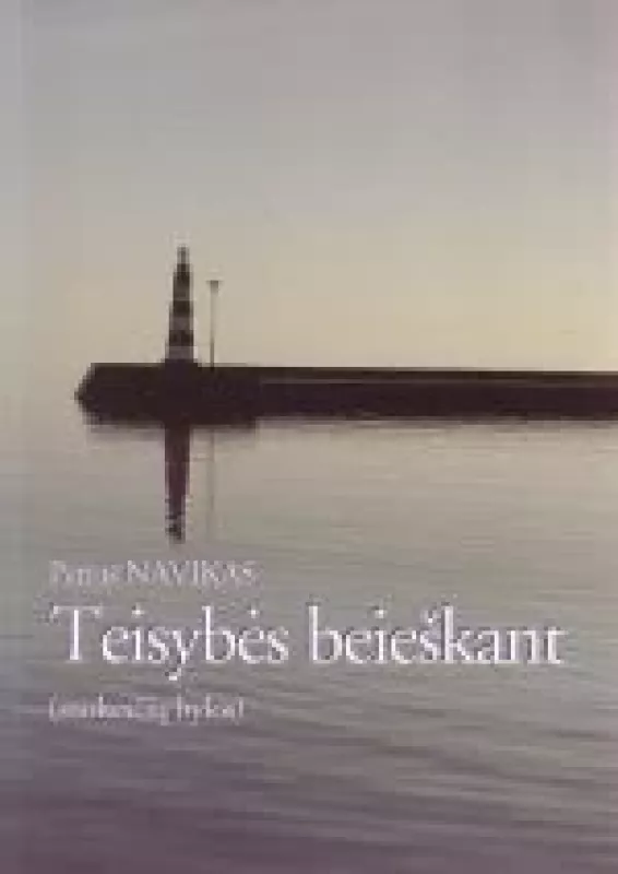 Teisybės beieškant (mokesčių bylos) - Petras Navikas, knyga