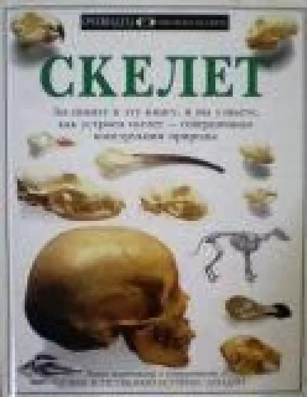 Скелет - Стив Паркер, knyga