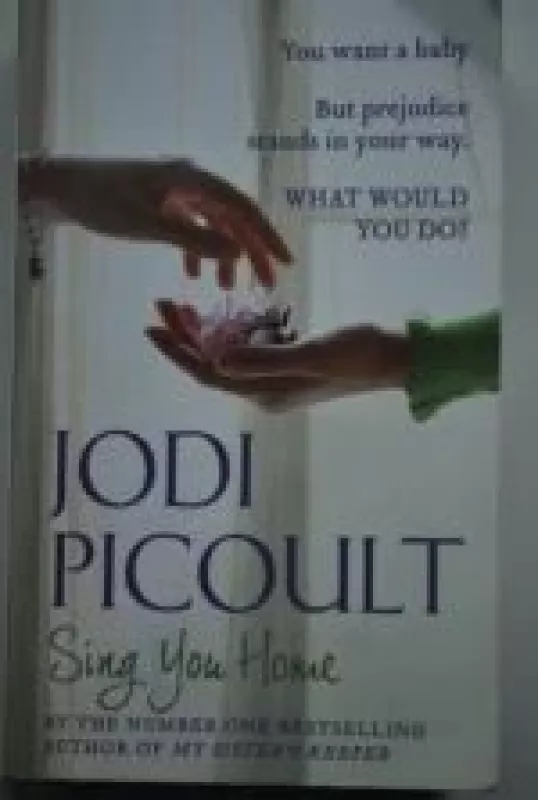 Sing you home - Jodi Picoult, knyga