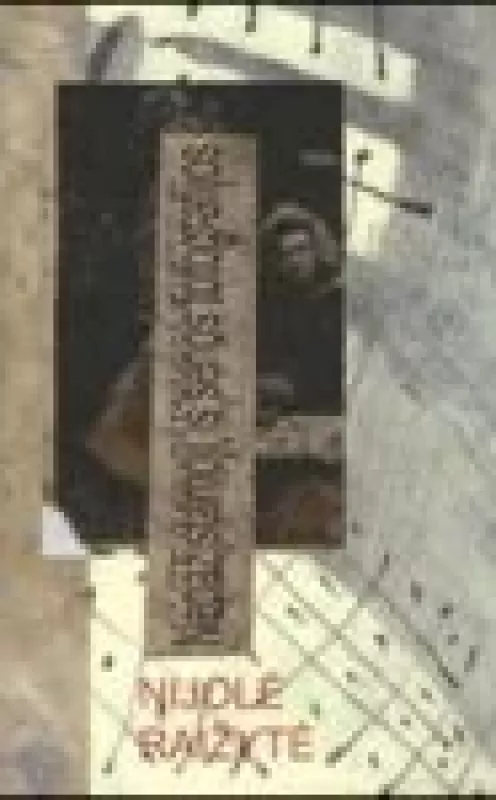 Nepažįstamoji iš senos fotografijos - Nijolė Raižytė, knyga