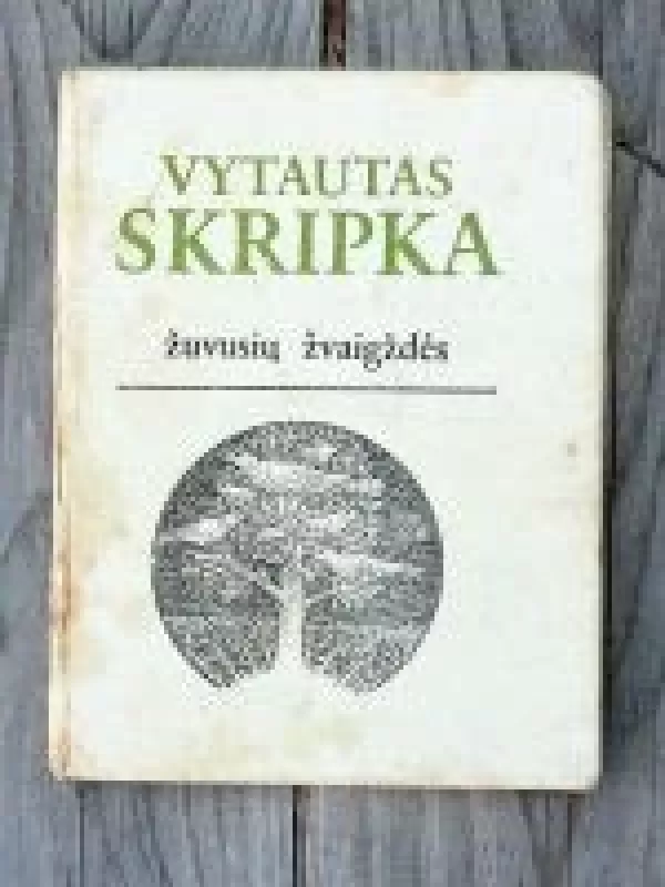 Žuvusiųjų žvaigždės - Vytautas Skripka, knyga