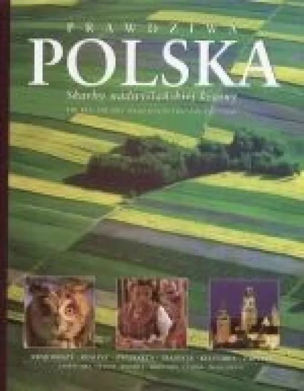 Prawdziwa Polska/The Real Poland - Katarzyna Soltyk, knyga