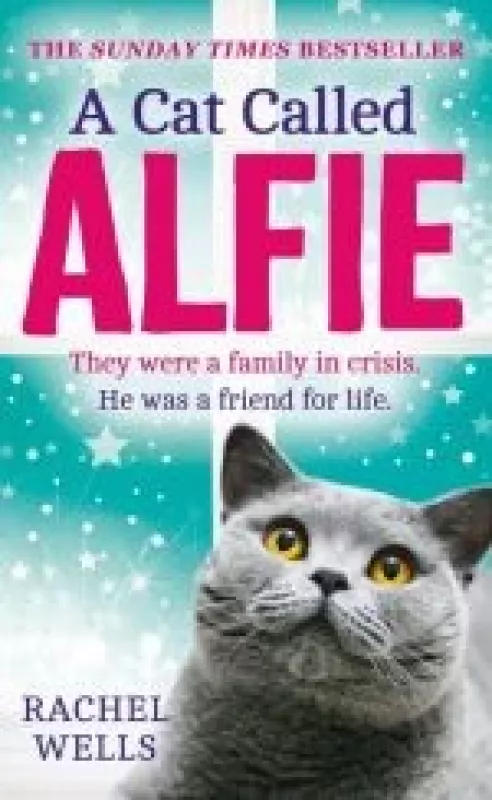 A cat called Alfie - Rachel Wells, knyga